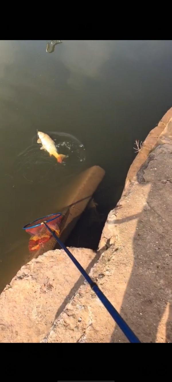 垂釣之旅——日行千里，只為漁你相見