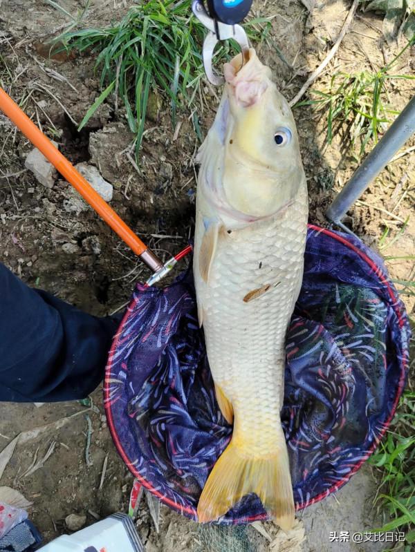 野釣魚情超乎想象 野釣魚情超乎想象