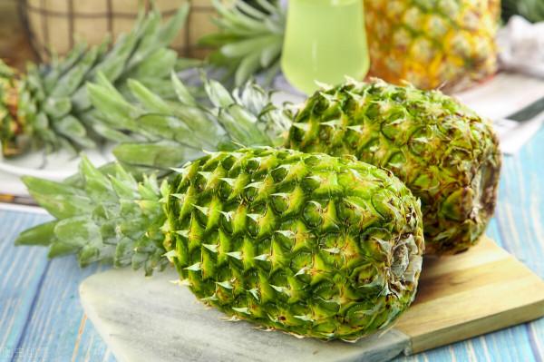 鳳梨的葉子可以水培種植嗎？葉子水培的方法是什麼？去瞧瞧