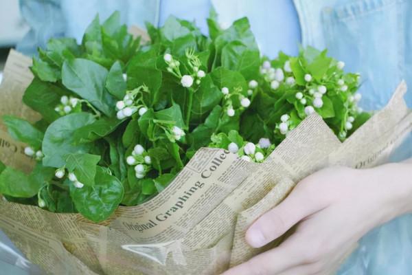 才發現用露臺打造花園已經初具規模了,那叫一個漂亮,給大家瞧瞧 才發現用露臺打造花園已經初具規模了,那叫一個漂亮,給大家瞧瞧