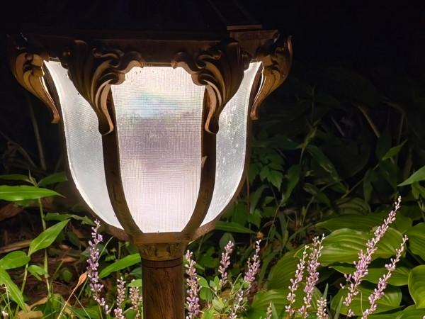 意不意外? 華為P50 Pro首測2: 網友要求再拍10組對比, 逼出它影像極限