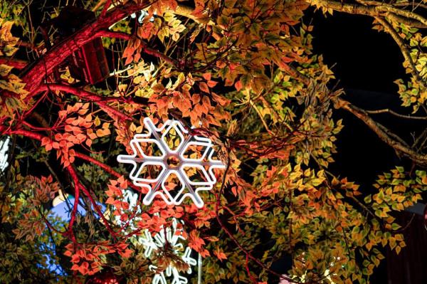 極致輕巧掛機鏡 適馬18-50mm F2.8 DC DN評測