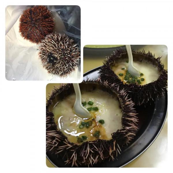 吃貨養成記:二零一六 吃貨養成記:二零一六