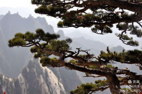乘坐西峰索道上華山