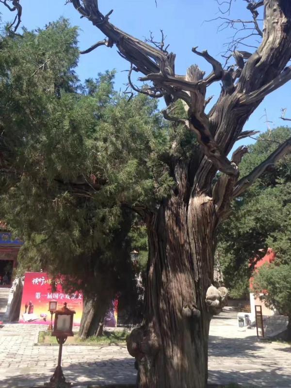 17北京遊之大成殿內仰聖，科技館裡尋真