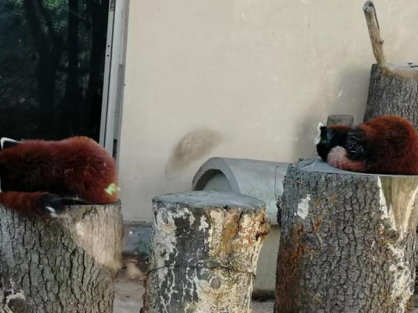 中山公園一日遊