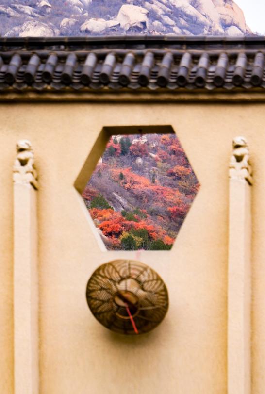 鳳凰嶺彩葉進入最佳觀賞期