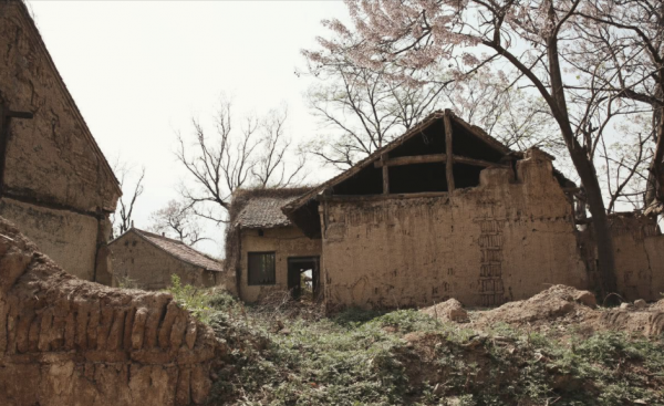 第一位發現兵馬俑的人:獲1角3分獎勵,為何被村民嫌棄了20多年? 第一位發現兵馬俑的人:獲1角3分獎勵,為何被村民嫌棄了20多年?