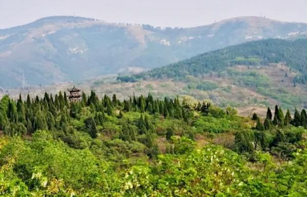 退伍老兵“騙”妻子1000萬,進深山與豬“作伴”,1年狂賺800萬 退伍老兵“騙”妻子1000萬,進深山與豬“作伴”,1年狂賺800萬