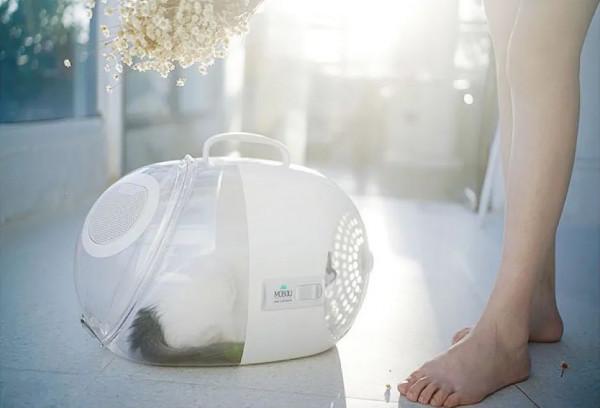 毛孩子也過“雙11”啦!這麼買能幫鏟屎官省下一個月伙食費 毛孩子也過“雙11”啦!這麼買能幫鏟屎官省下一個月伙食費