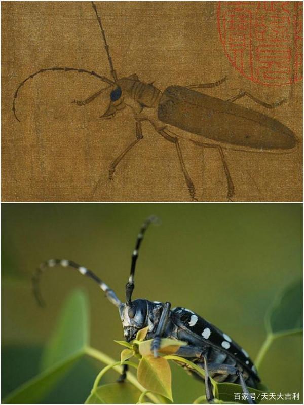 最美寫生稿——黃筌《寫生珍禽圖》