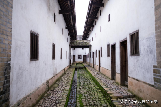 神獸歸籠,旅行終於能提上日程,走江西最長玻璃橋、賞東方羅馬,全部安排! 神獸歸籠,旅行終於能提上日程,走江西最長玻璃橋、賞東方羅馬,全部安排!
