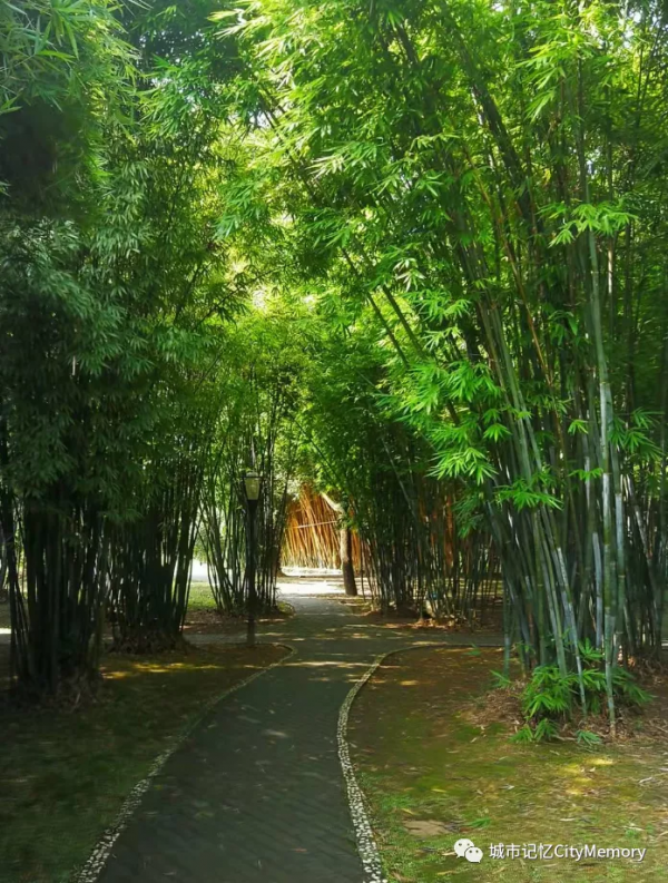 細說長沙橘子洲的前世今生