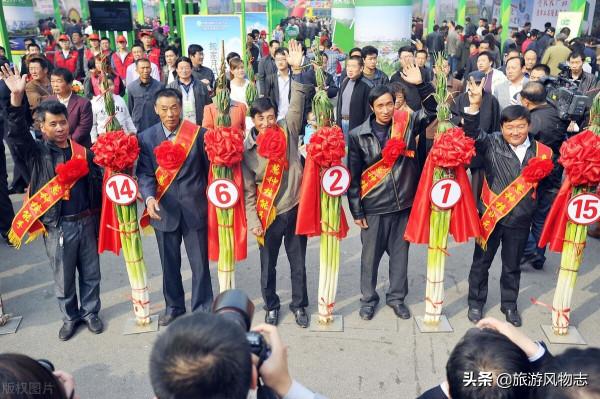 山東農業有多強?盤點山東10大特色之鄉,有你家鄉嗎? 山東農業有多強?盤點山東10大特色之鄉,有你家鄉嗎?