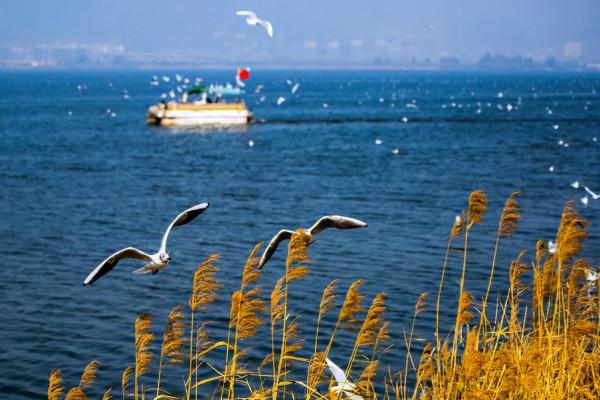 我國適合養老的4座城市,空氣好房價又低,你會選擇哪一個? 我國適合養老的4座城市,空氣好房價又低,你會選擇哪一個?