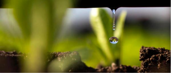 能源區塊鏈研究 | 區塊鏈可以幫助我們對抗氣候變化 能源區塊鏈研究 | 區塊鏈可以幫助我們對抗氣候變化