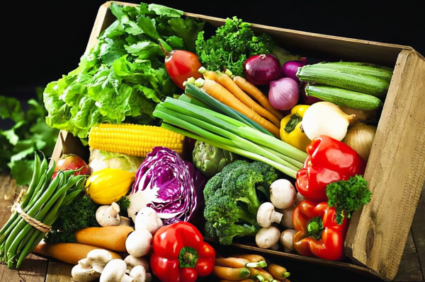 統一回復“重症患者吃什麼?”,今天為患者總結一份食譜 統一回復“重症患者吃什麼?”,今天為患者總結一份食譜