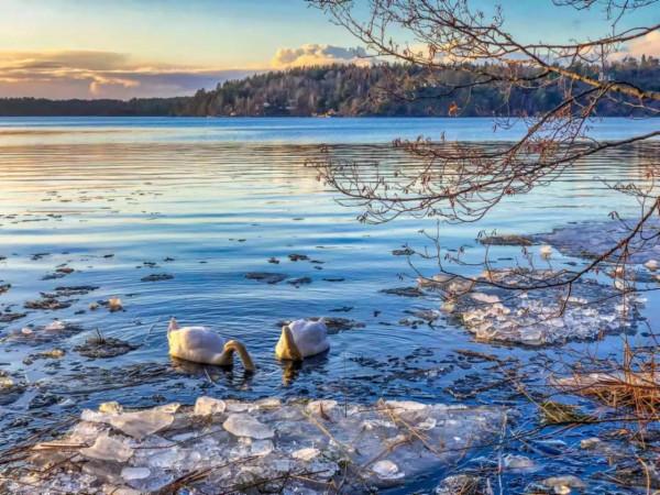 中國式善良，我不配