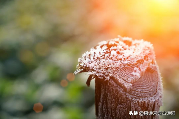 何處得秋霜 何處得秋霜