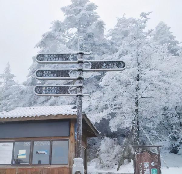 昨日大雪,來看峨眉山最真實的雪景 昨日大雪,來看峨眉山最真實的雪景