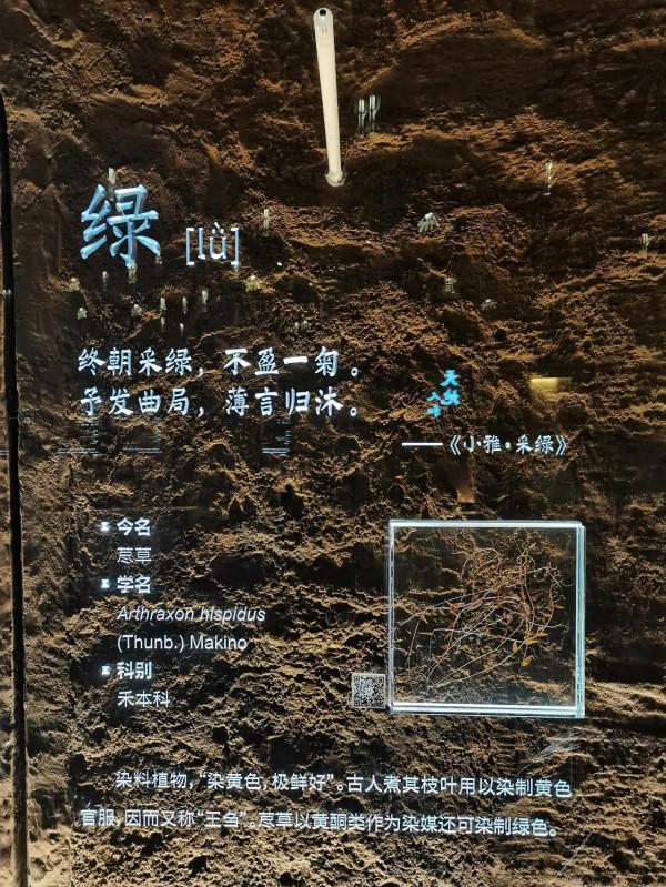 北京世園公園中國館