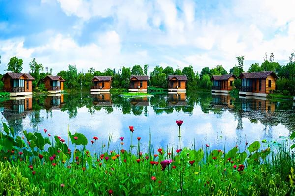 長三角這9條美麗鄉村休閒旅遊行（秋季）路線，你走過幾條？