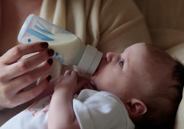 兒童乳酪首選天然的 兒童乳酪首選天然的