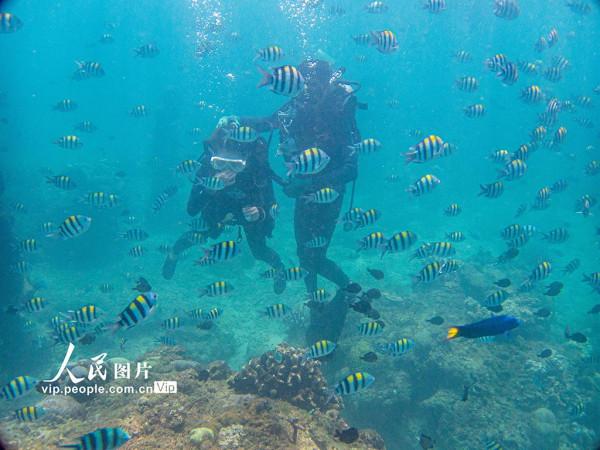 海南陵水：暢遊海底世界