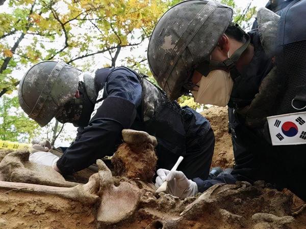 獨家！大量在韓中國人民志願軍烈士遺骸搜尋鑑定細節曝光！