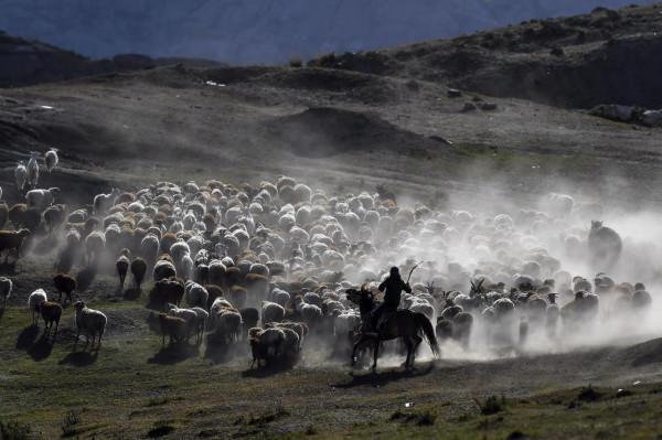大美新疆，人間天堂