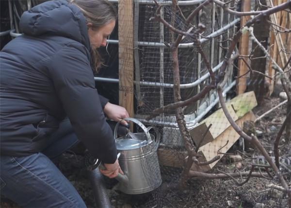 一對夫婦在荒島上住2年,蓋起10㎡蝸居,“離網”的日子簡單快樂 一對夫婦在荒島上住2年,蓋起10㎡蝸居,“離網”的日子簡單快樂