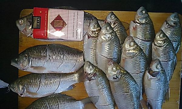 從蒼耳釣魚說起，盤點那些十釣九空的“神餌”，你上過當嗎？