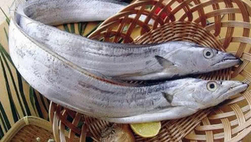 夏天要多吃魚，這4種海魚肉嫩鮮美，經濟實惠，關鍵人工不能養殖