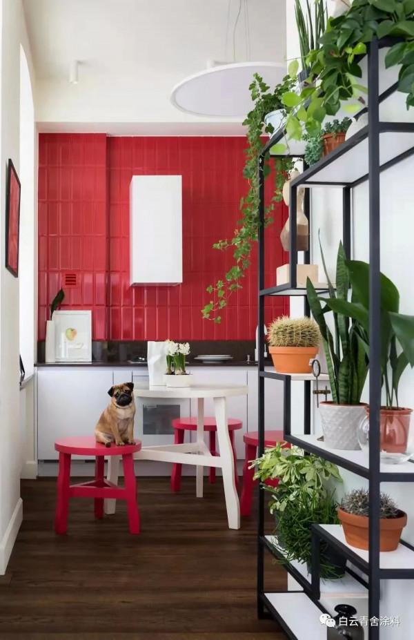 紅色+高階灰，激情與平淡的碰撞-白雲青舍藝術塗料