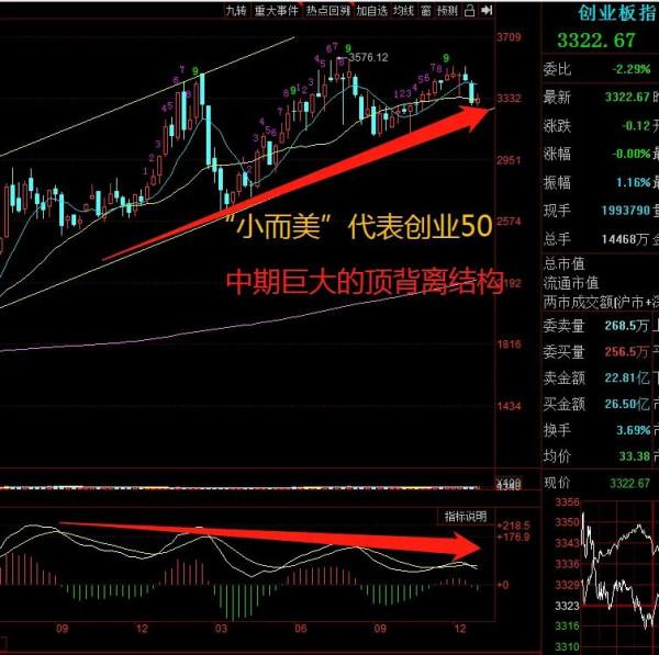 特斯拉漲超13%，臺積電漲超7%，大型科技股領漲，市場轉向大而美