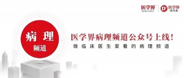 早期胃癌病理診斷：WHO VS.日本標準一文解析