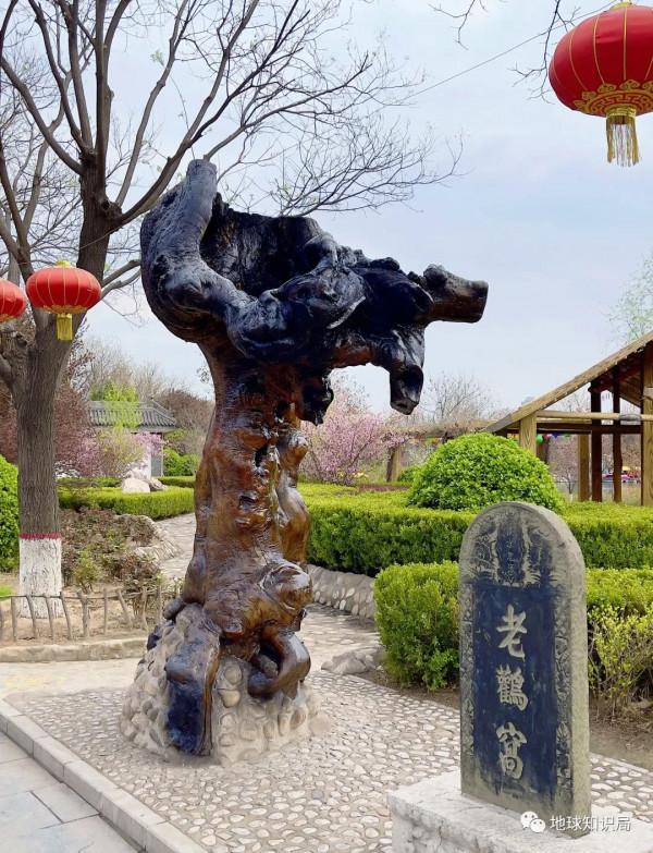 山西大槐樹傳說，究竟是什麼？