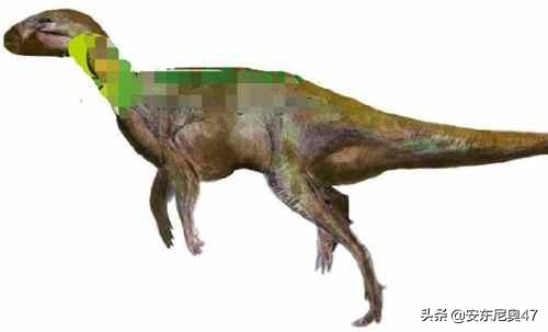 阿納拜斯龍：阿根廷雙足食草恐龍，長2米，生活在1.25億年前