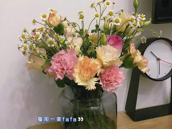 低成本家居好物清單，我理想中的家都來自淘寶和宜家