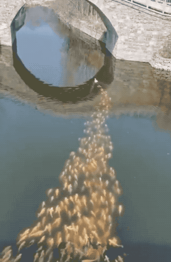 《動物世界千奇百怪》之一 《動物世界千奇百怪》之一