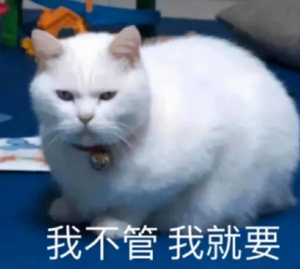 除了關曉彤,原來還有這麼多“皇親國戚”?有一位已經被封了 除了關曉彤,原來還有這麼多“皇親國戚”?有一位已經被封了