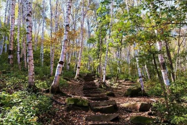 未來一個月,北京周邊的景色將是這樣的—— 未來一個月,北京周邊的景色將是這樣的——