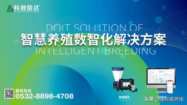 一切用資料說話,打造智慧養殖數智化解決方案 一切用資料說話,打造智慧養殖數智化解決方案