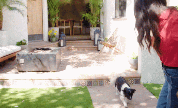 吸血鬼日記女主豪宅首曝光!室內裝修意外簡潔,網友:很有品味 吸血鬼日記女主豪宅首曝光!室內裝修意外簡潔,網友:很有品味