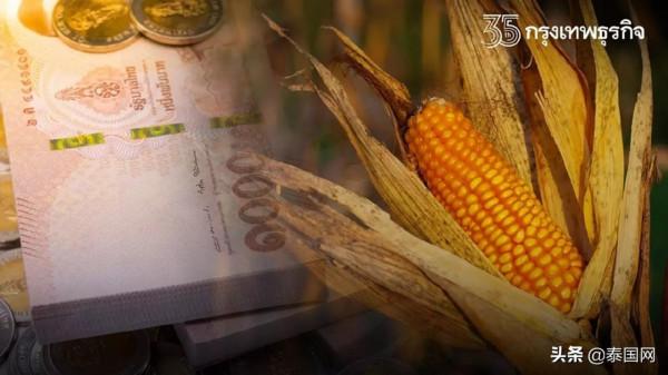 泰國公佈年度政治人物民調 總理巴育最令人滿意