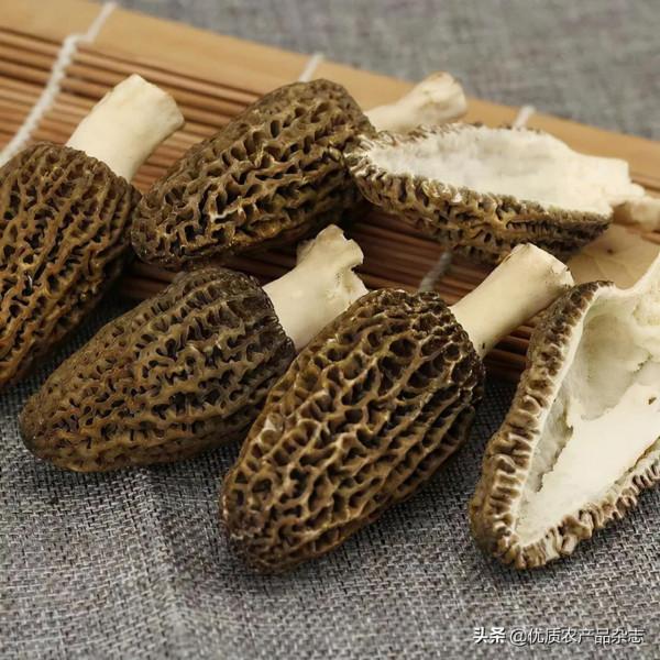 為了讓我們吃好,你知道他們有多努力嗎? 為了讓我們吃好,你知道他們有多努力嗎?