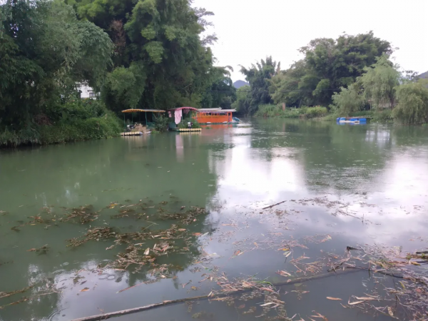 1950年廣西恭城土匪暴亂紀事