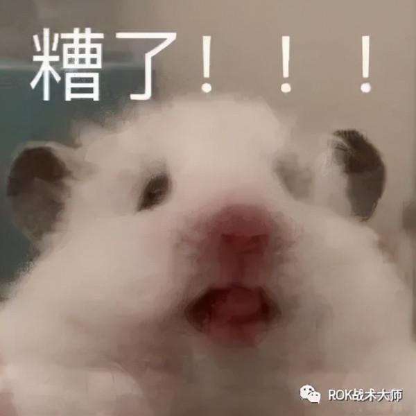 萬國覺醒丨最強執政官——混分技巧