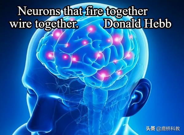 改造DNA,讓孩子更聰明 改造DNA,讓孩子更聰明