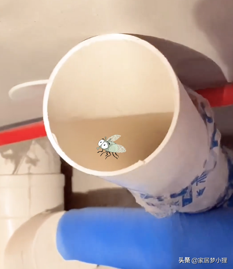 家裡總有股臭味？肯定是這5處沒弄好，看看你家中招了嗎